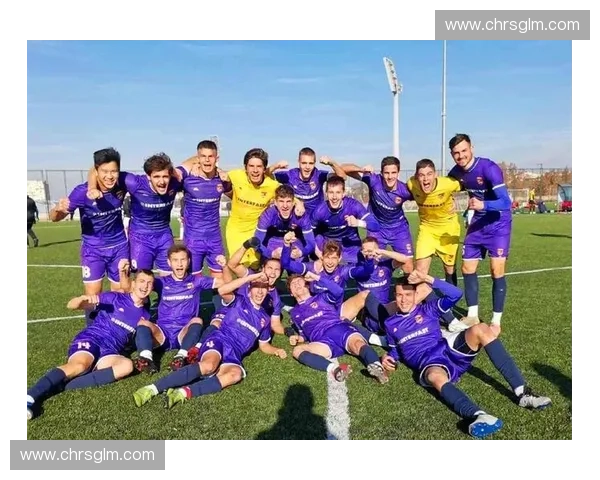 深入解析中国足球联赛发展现状与未来改革趋势系统化深度探讨研究