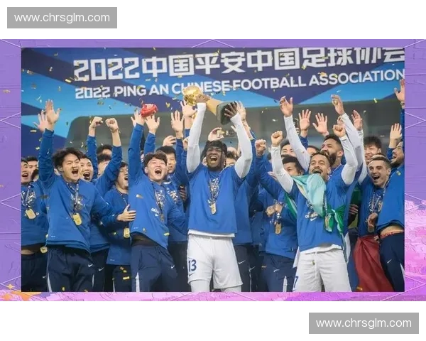 城市足球联赛2017点燃全民热情推动城市体育新发展之路